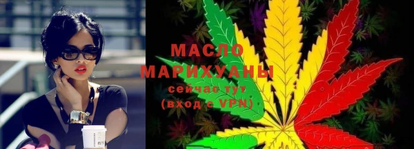 твердый Горняк