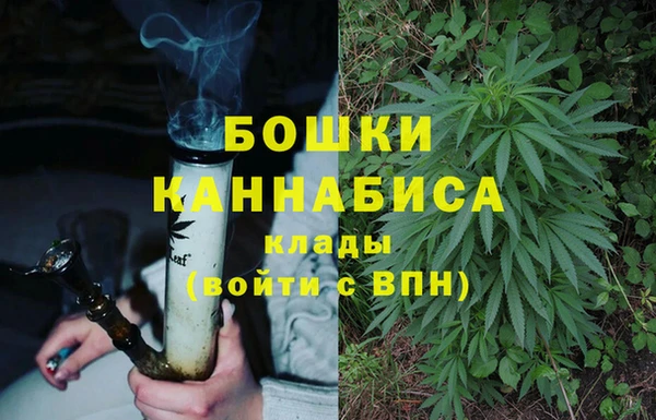твердый Горняк