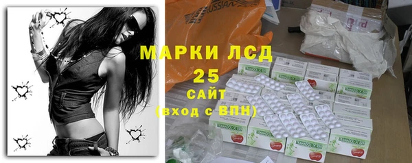 твердый Горняк
