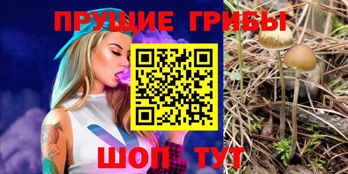 Галлюциногенные грибы мицелий Наро-Фоминск