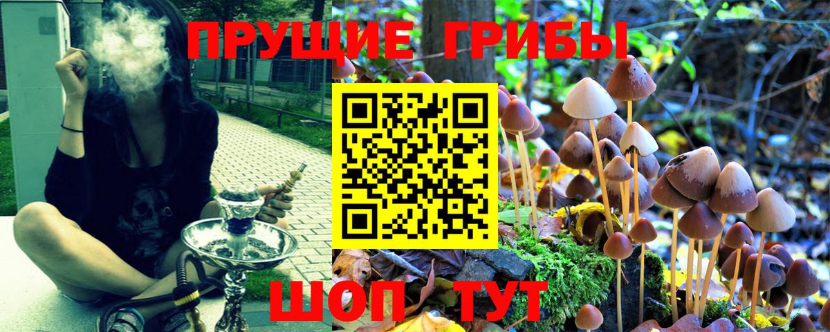 Галлюциногенные грибы MAGIC MUSHROOMS  Вход с VPN  Псилоцибиновые грибы Magic Shrooms  Наро-Фоминск 