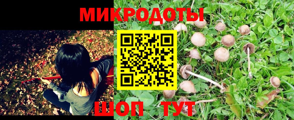 Галлюциногенные грибы прущие грибы Наро-Фоминск